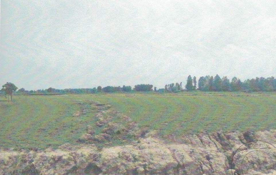 सिराहा जिल्ला नैनपुर गा.वि.स. वडा नं. ९, (हाल धनगढीमाई नगरपालिका वडा नं. ११) नक्सा सीट नं. ९ख स्थित कित्ता नं. १ को जग्गा क्षेत्रफल २–८–१४–० (विघा–कठ्ठा–धुर–कन्वा) (१६,४९१.७४ व. मी.) जग्गा 6